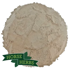 Bentonite Clay