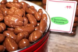 Chocolate Pecans - Bags