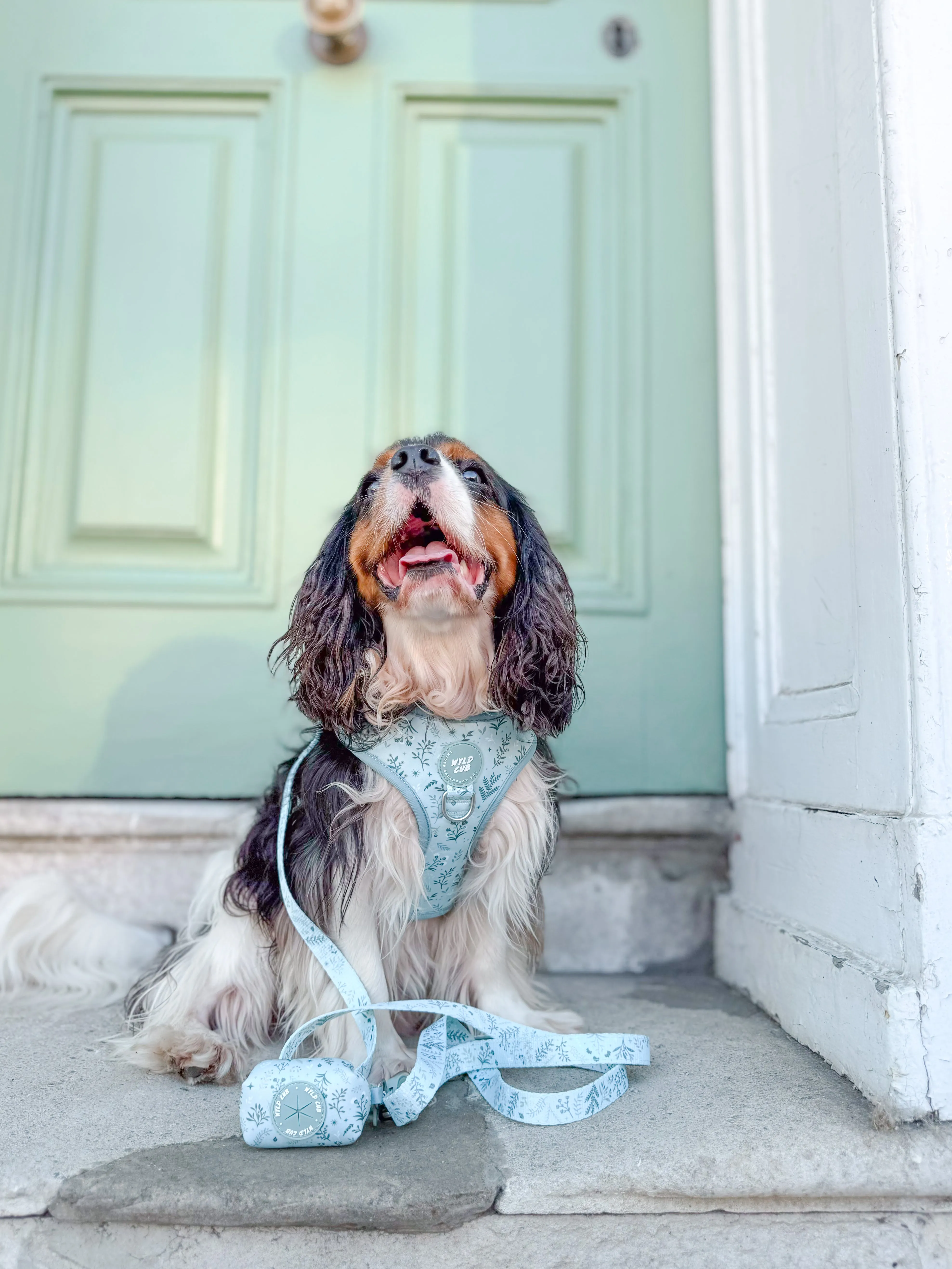 Dog Poop Bag Holder: Chiswick Pistachio