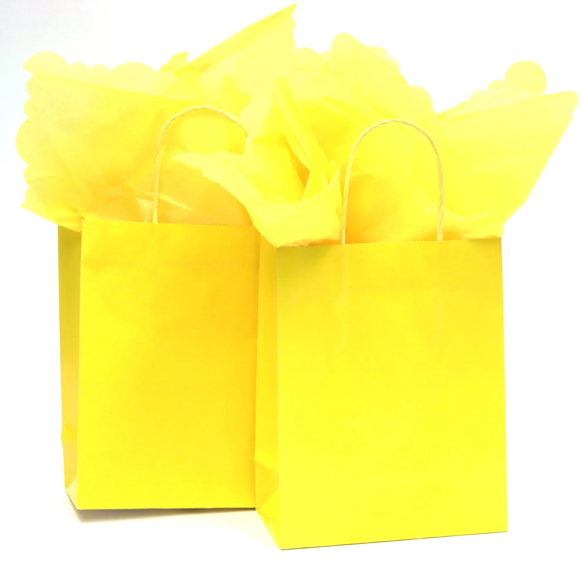 Euro Medium Yellow Gift Bag (Color Savvy)