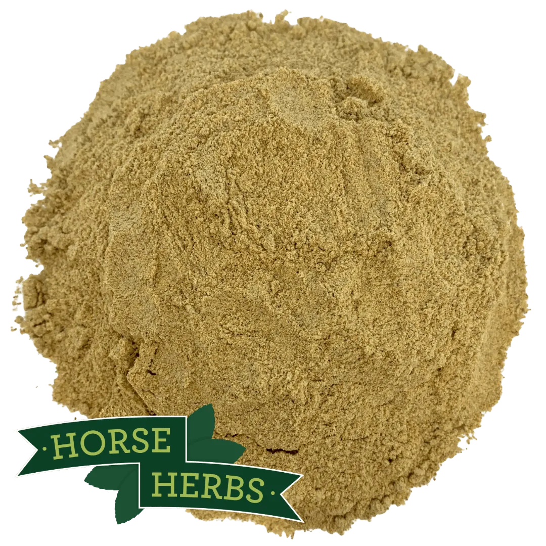 Fenugreek Powder