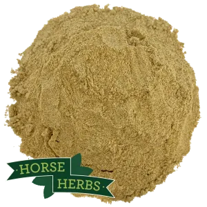 Fenugreek Powder