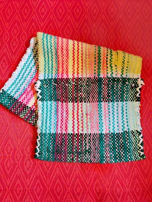 Handwoven bike panniers