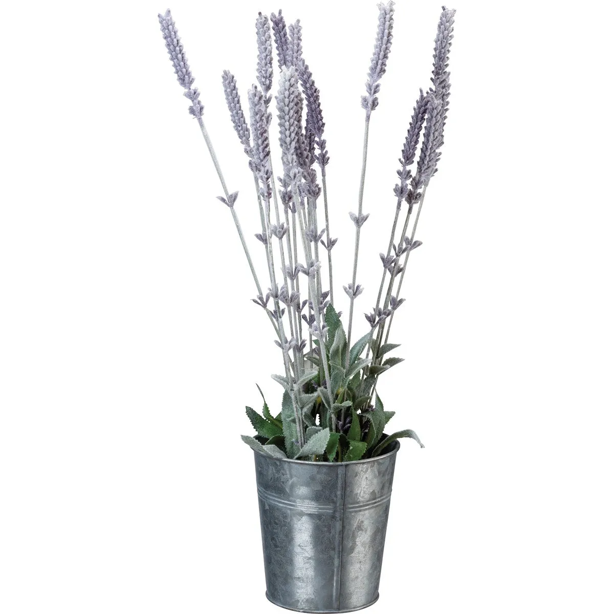Lavender Bucket