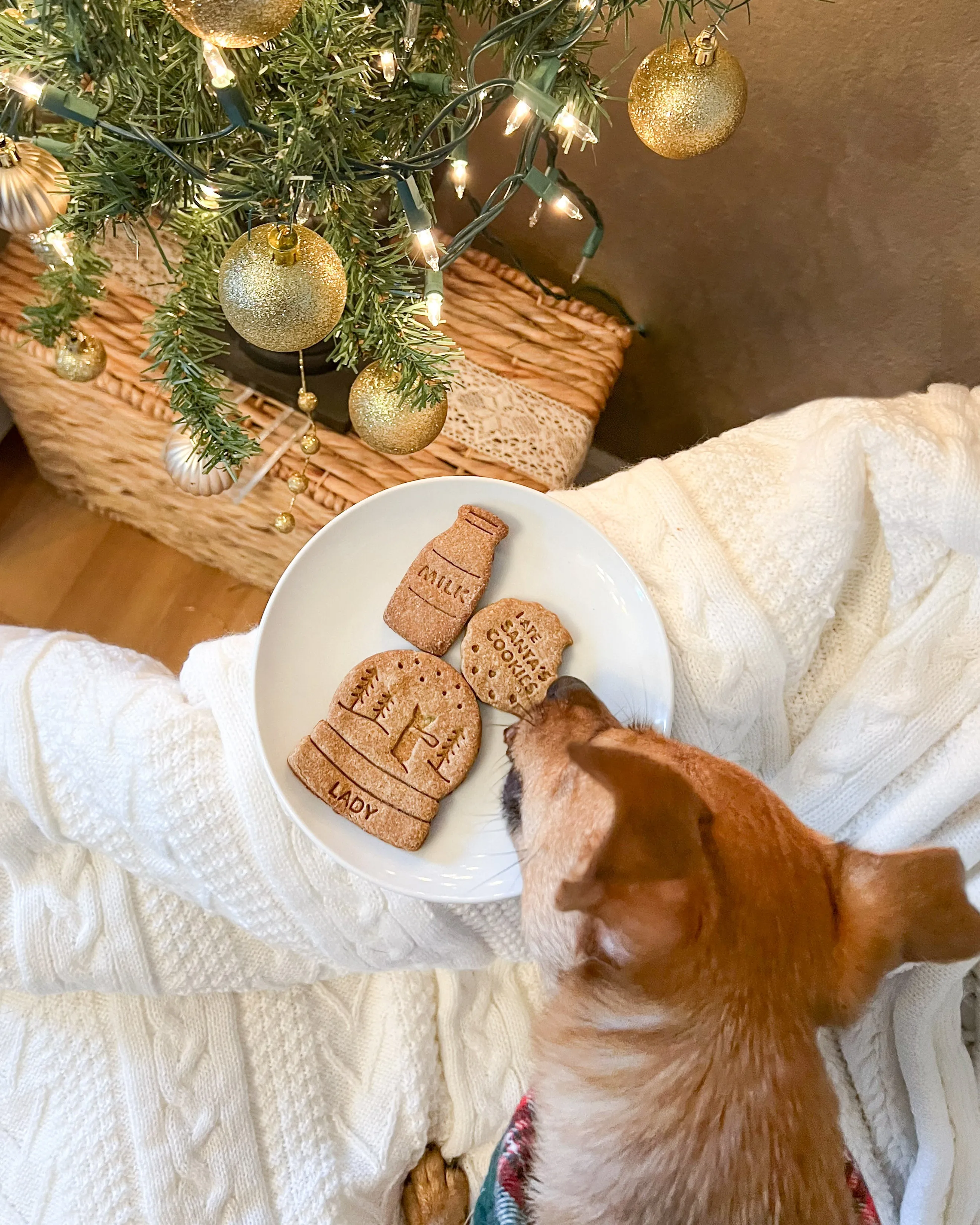 Milk & Cookies for Santa Dog Biscuit Cutters (BUNDLE of 3)