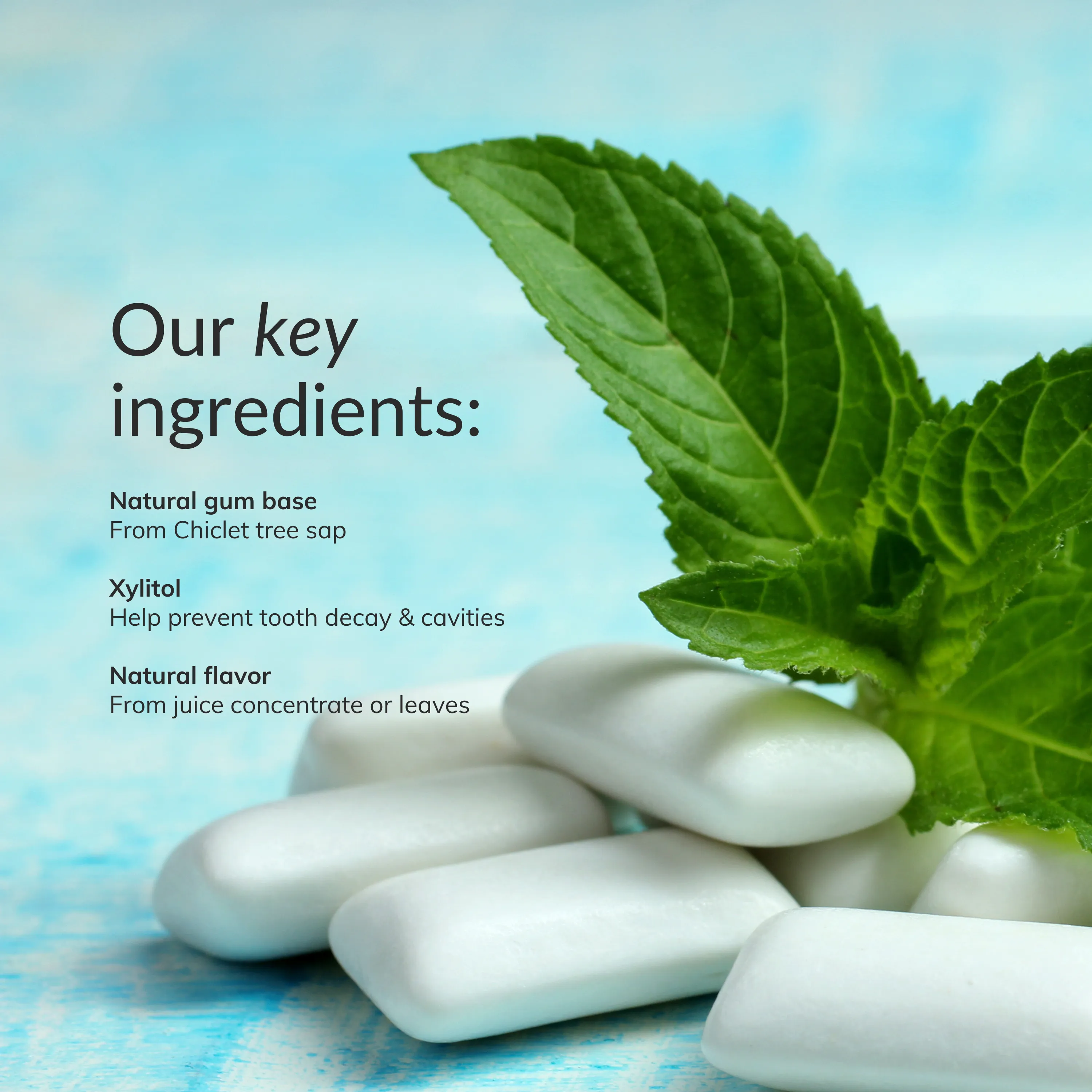 Natural Chewing Gum - Wintergreen (84pcs)