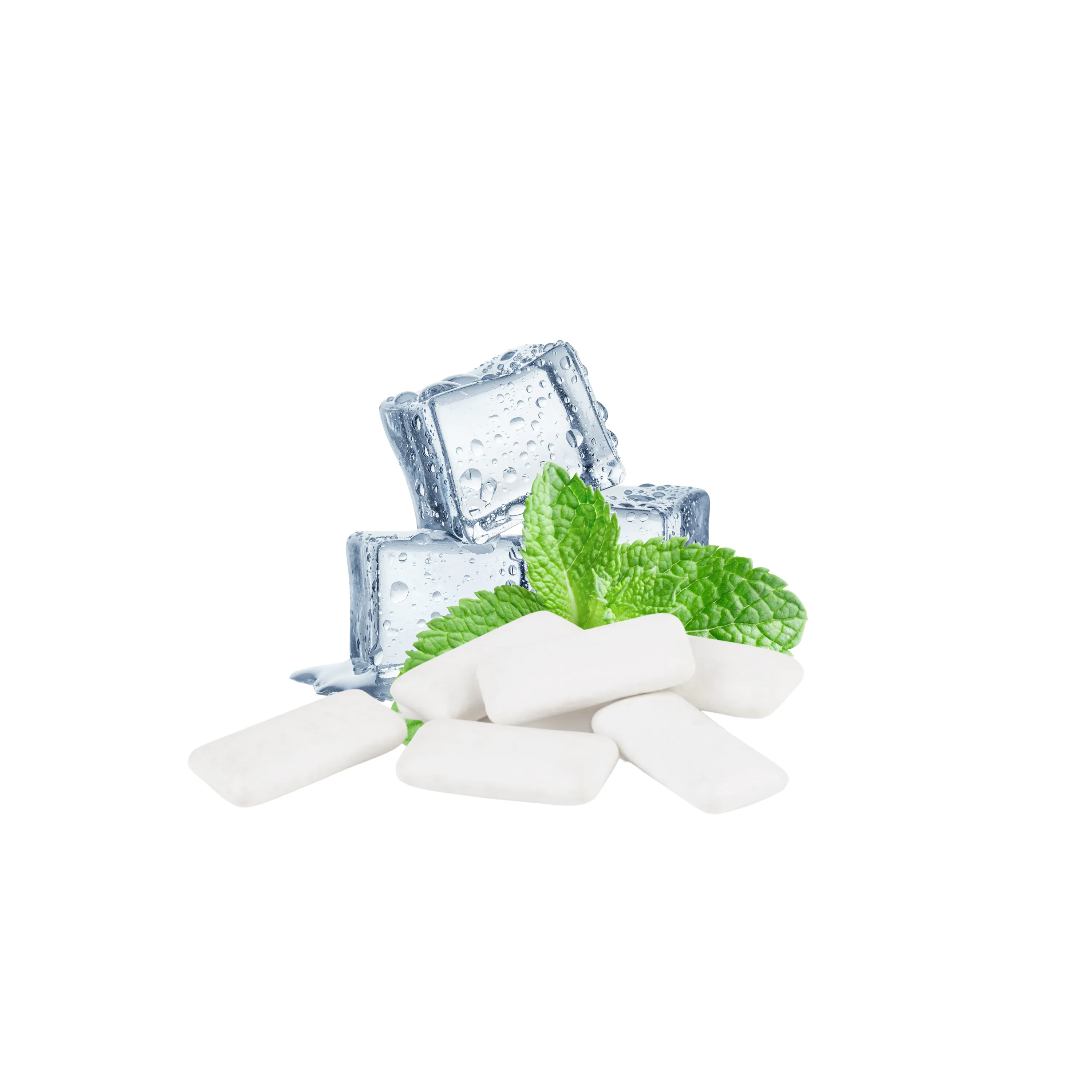 Natural Chewing Gum - Wintergreen (84pcs)