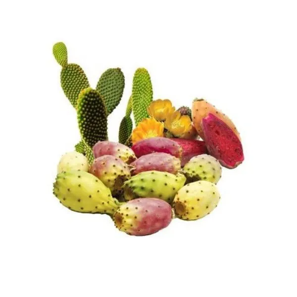 Prickly Pear Seed Organic Carrier Oil