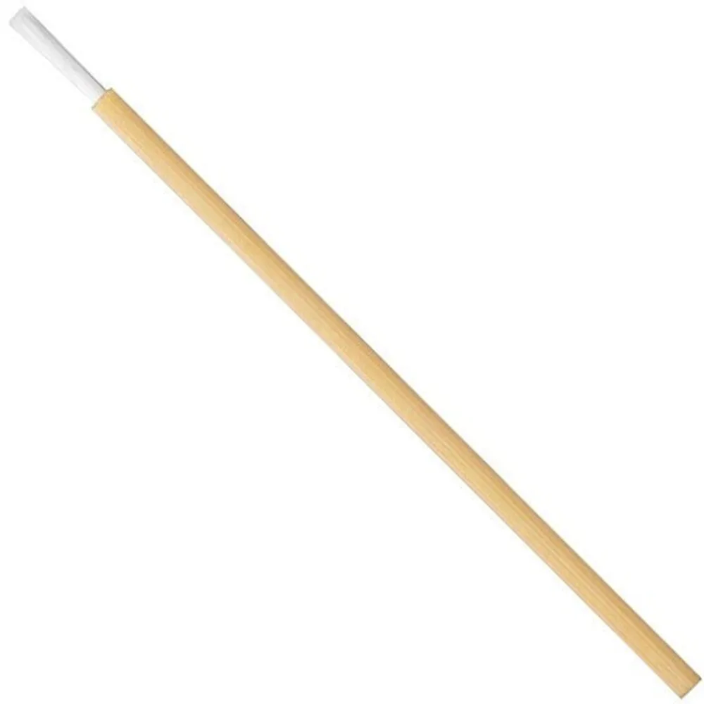 Single-Use Professional Lip Brush with FSC&reg; Certified Thin Bamboo Handle - 2.83" Long / 50 Pieces Per Bag X 24 Bags = Case of 1,200