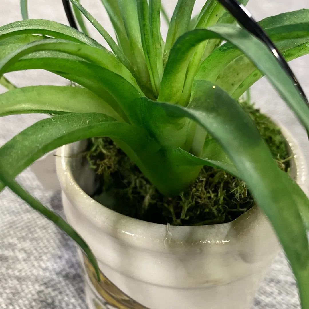 Small Bird Bucket Flower Pot