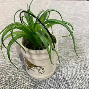 Small Bird Bucket Flower Pot