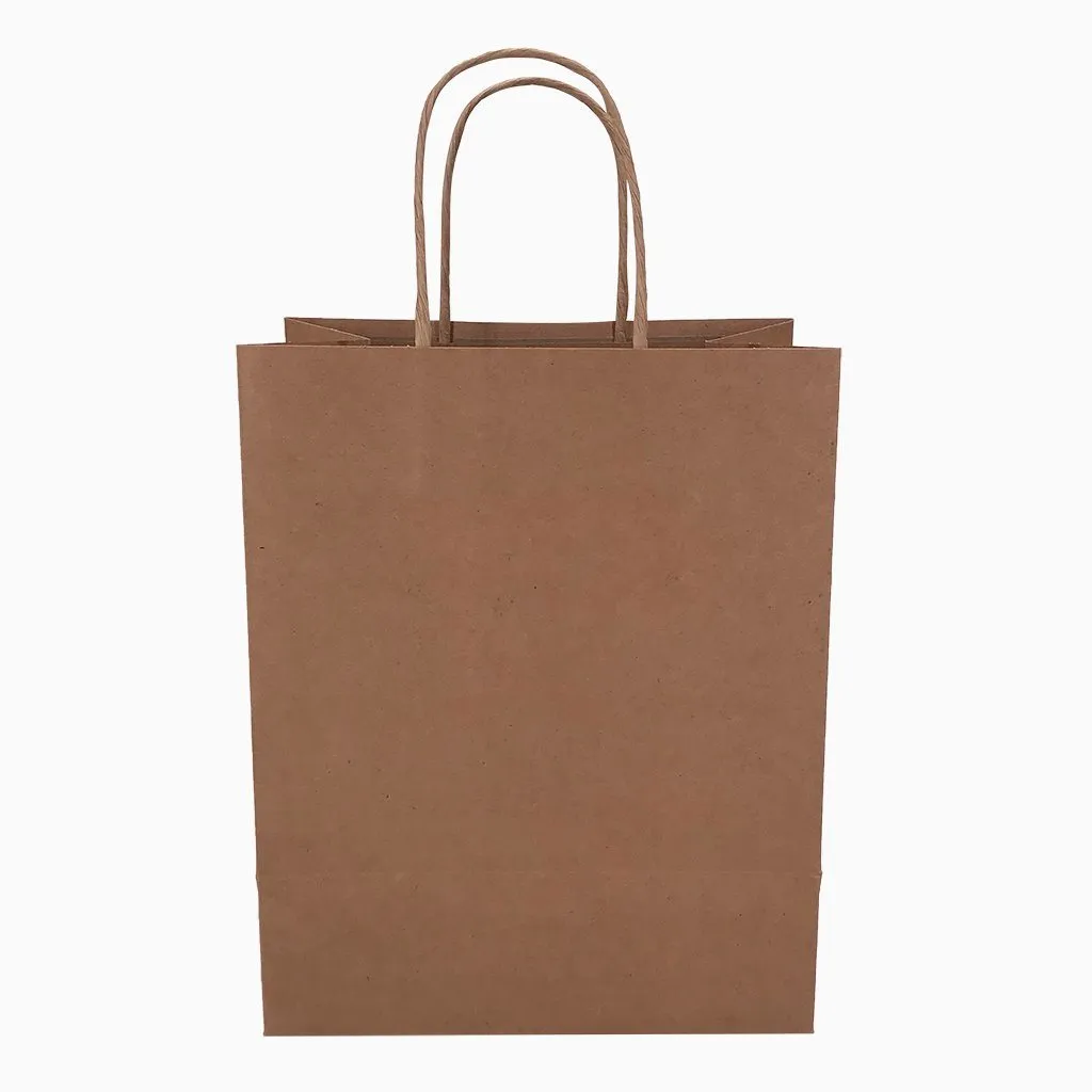 Stock Kraft Paper Carry Bag-Medium(SKP-06T)