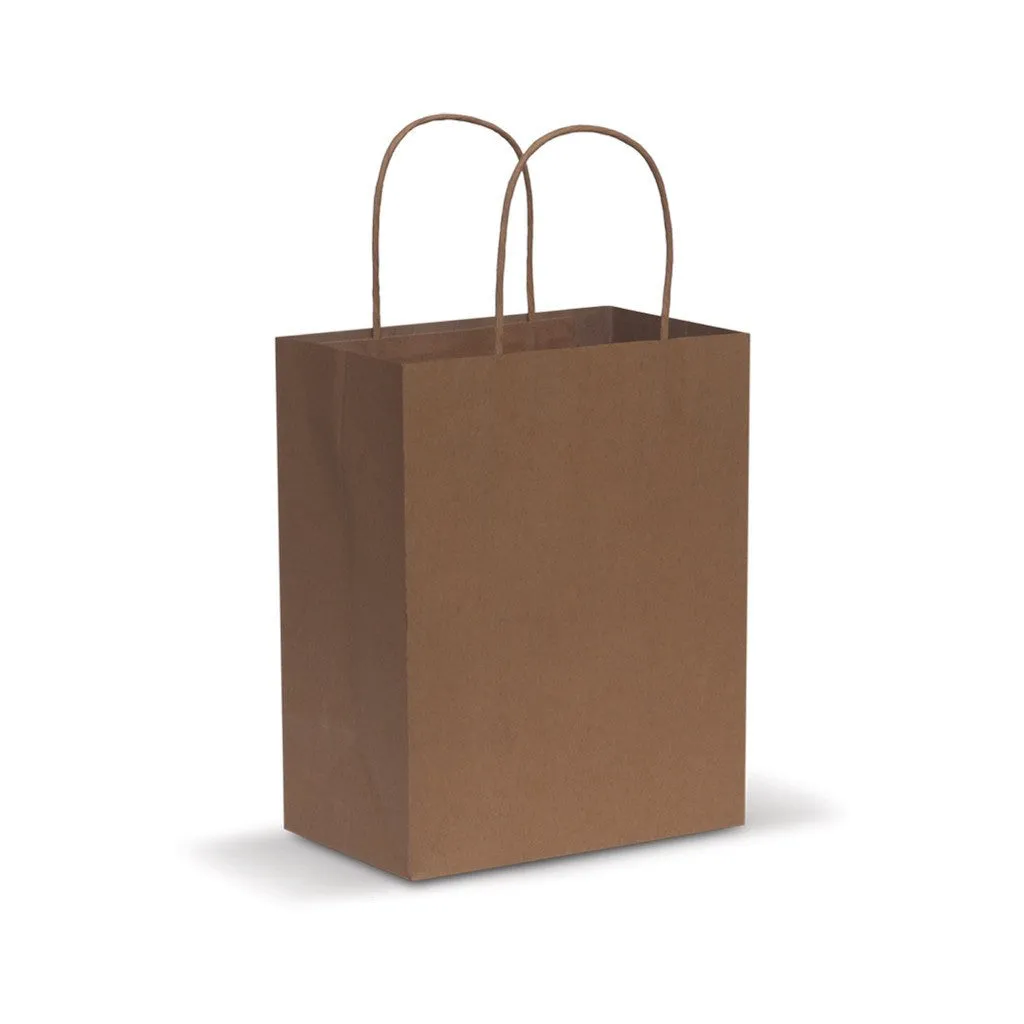 Stock Kraft Paper Carry Bag-Medium(SKP-06T)