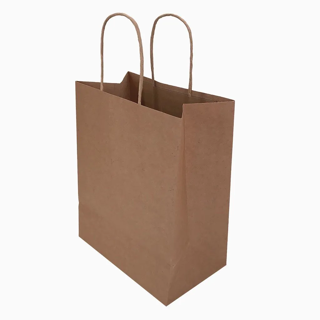 Stock Kraft Paper Carry Bag-Medium(SKP-06T)