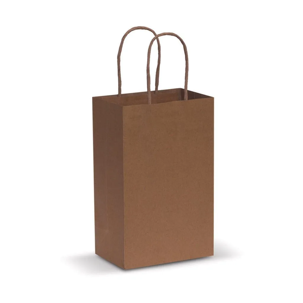 Stock Kraft Paper Carry Bag-Small(SKP-05T)