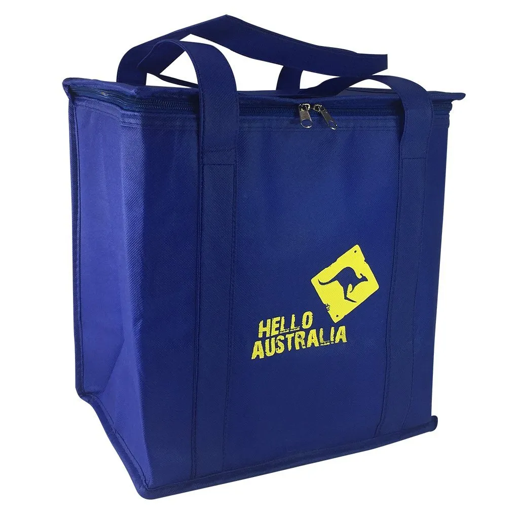 Stock NWPP Cooler Bag(SNB-21D)