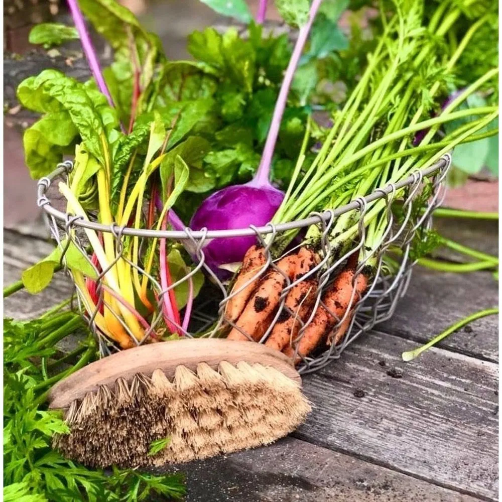 Vegetable Brush by Redecker