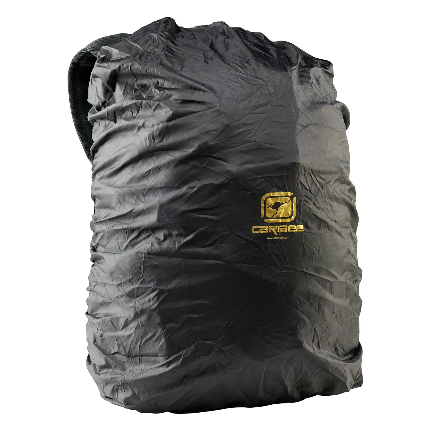 Wasp 30L backpack with raincover